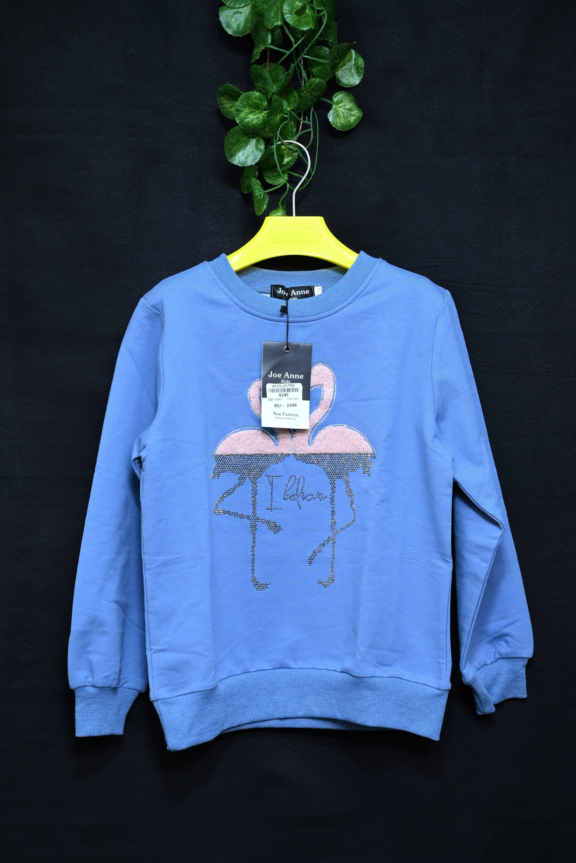 4105-Baby Winter Shirt – Imported Terry Fabric | Round Neck with 3D Print | Western Style