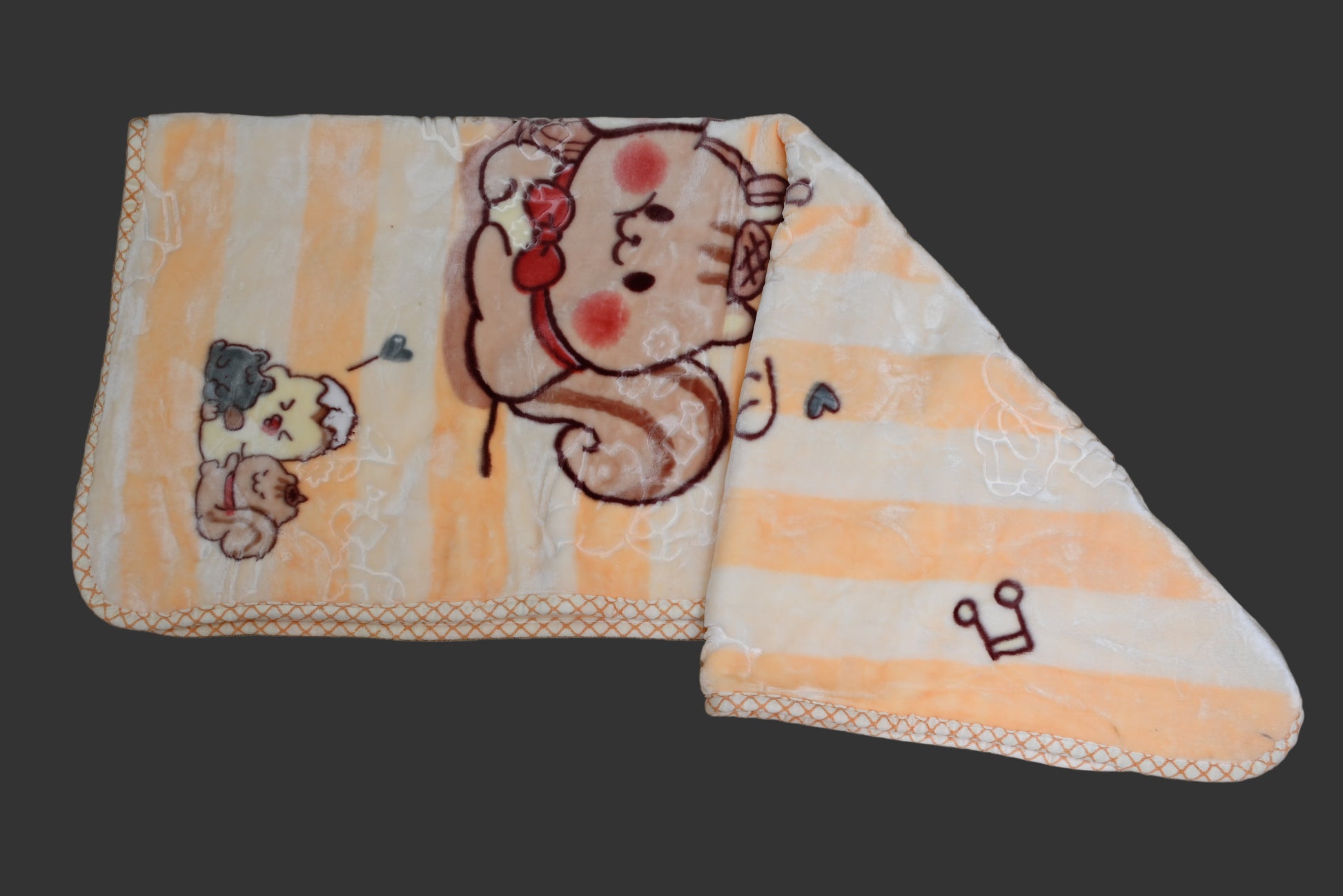 4276-Winter Velvet Baby Blanket